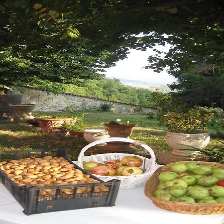 Il Mio Rifugio Guest House Gaggio Montano ภายนอก รูปภาพ