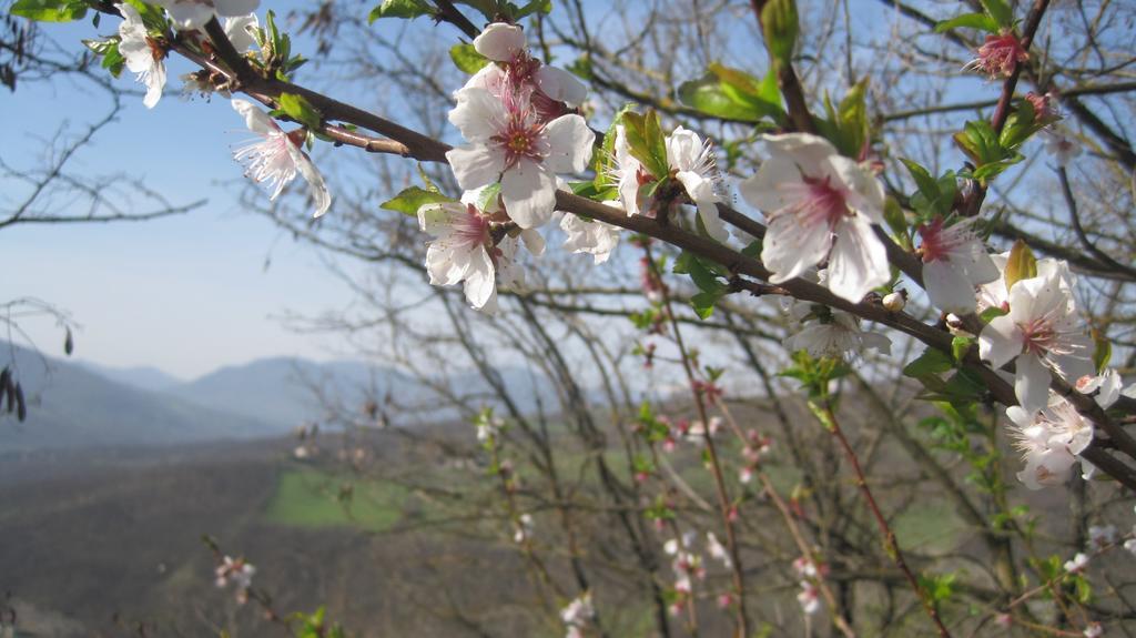 Il Mio Rifugio Guest House Gaggio Montano ภายนอก รูปภาพ