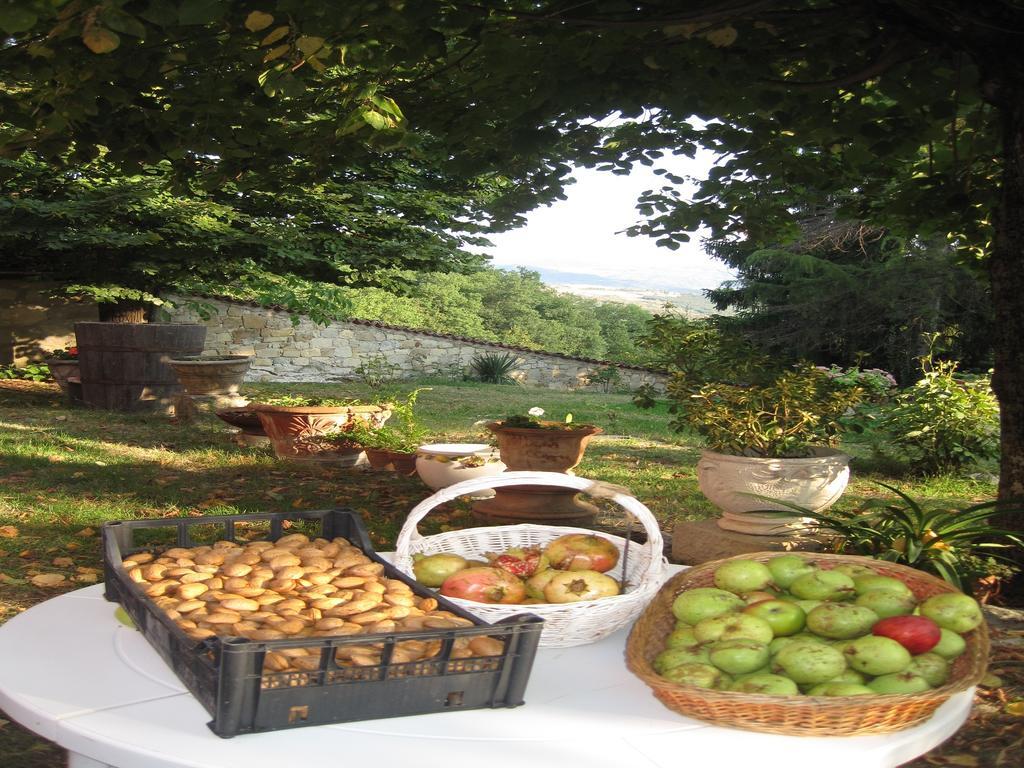 Il Mio Rifugio Guest House Gaggio Montano ภายนอก รูปภาพ